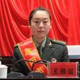 王雅麗(甘肅省出席黨的第十九次全國代表大會代表) 王雅麗(甘肅省出席黨的第十九次全國代表大會代表)