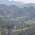 安樂村(雲南省彝良縣奎香鄉安樂村)