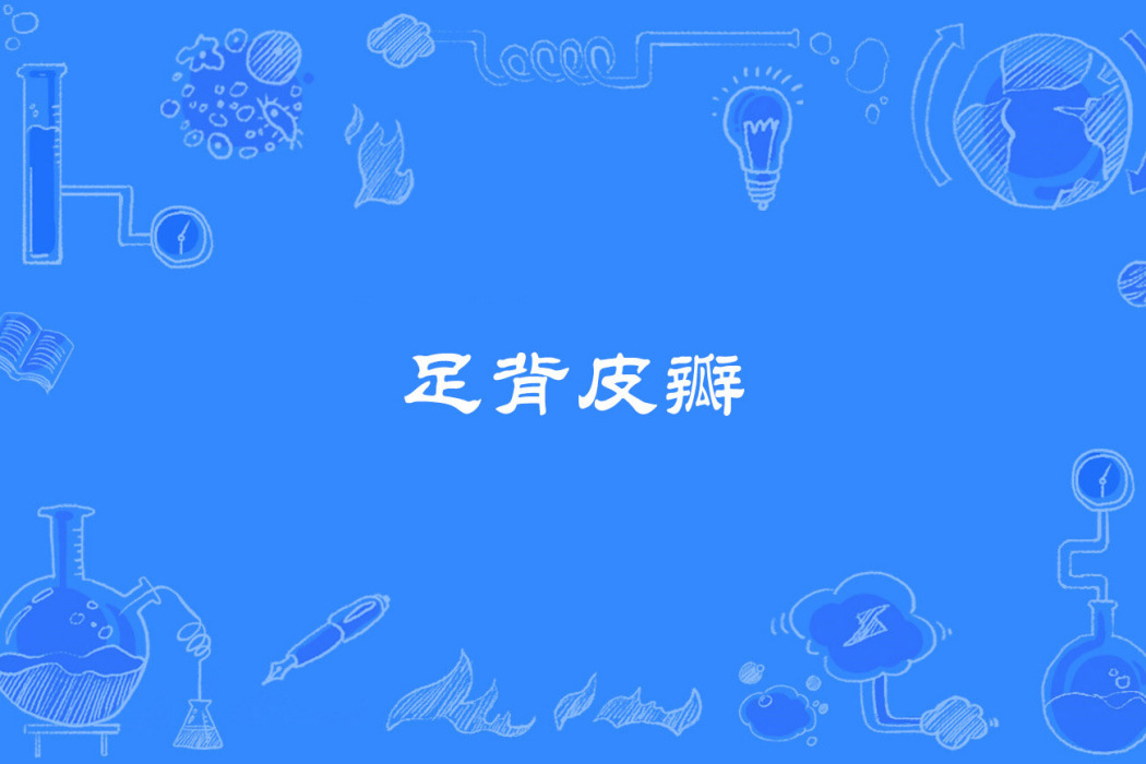 足背皮瓣 足背皮瓣