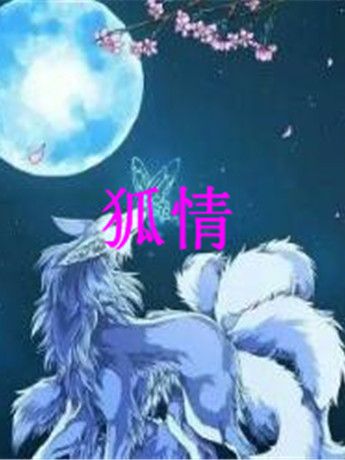 狐情 狐情