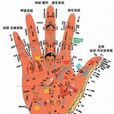 臟腑辨證 臟腑辨證