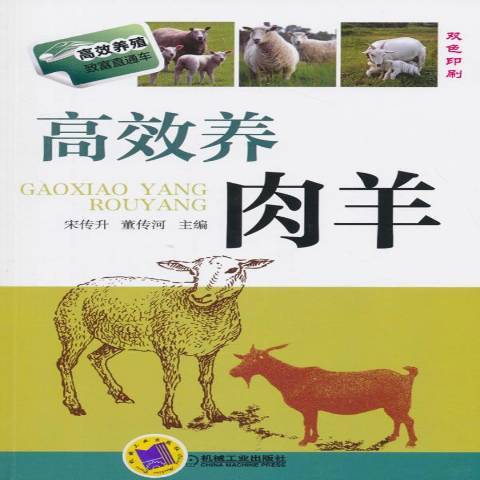 高效養肉羊(2015年機械工業出版社出版的圖書) 高效養肉羊(2015年機械工業出版社出版的圖書)