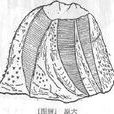 刺藤壺 刺藤壺