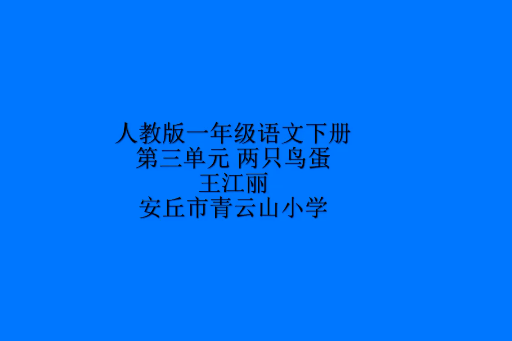 兩隻鳥蛋 兩隻鳥蛋
