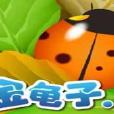 金龜子寶寶 金龜子寶寶