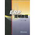 ERP簡明教程