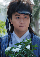 七種武器之孔雀翎(孔雀翎（2010年釋小龍主演電視劇）)
