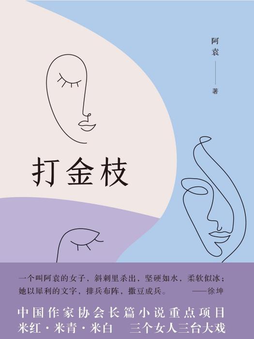 打金枝(2019年廣西師範大學出版社出版的圖書) 打金枝(2019年廣西師範大學出版社出版的圖書)