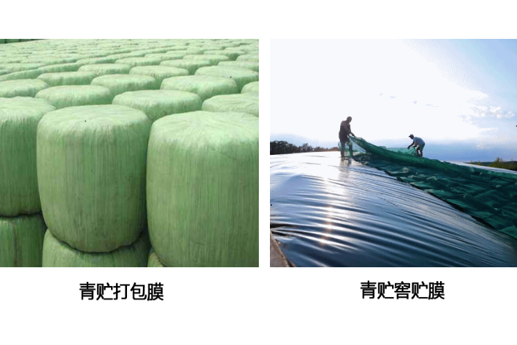 青貯技術 青貯技術
