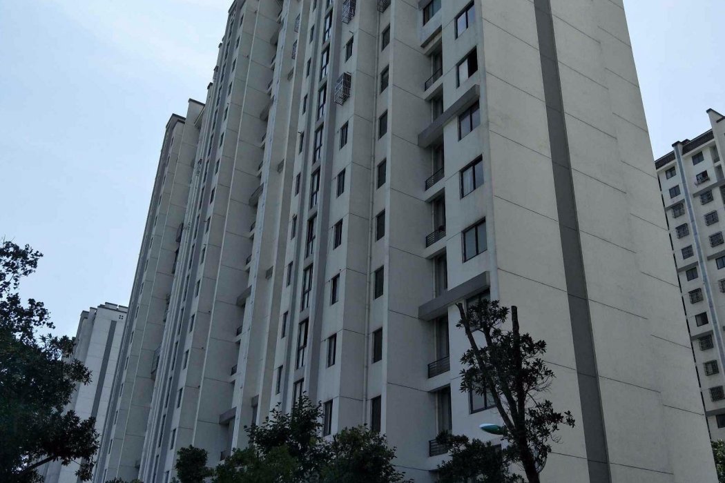 舜柯家園 舜柯家園