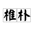 椎朴 椎朴