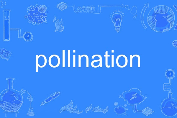 pollination pollination