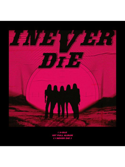 Never Stop Me(2022年(G)I-DLE演唱的歌曲)
