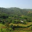 岔箐河村 岔箐河村