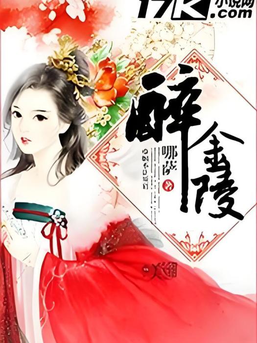 醉金陵(哪薩所著小說) 醉金陵(哪薩所著小說)