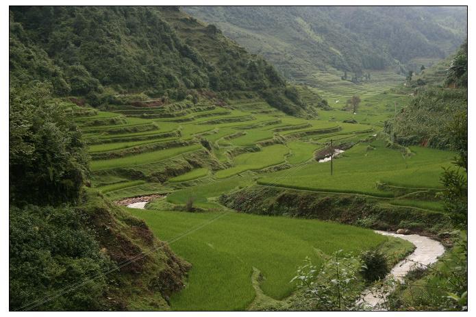 麻窩鋪村 麻窩鋪村