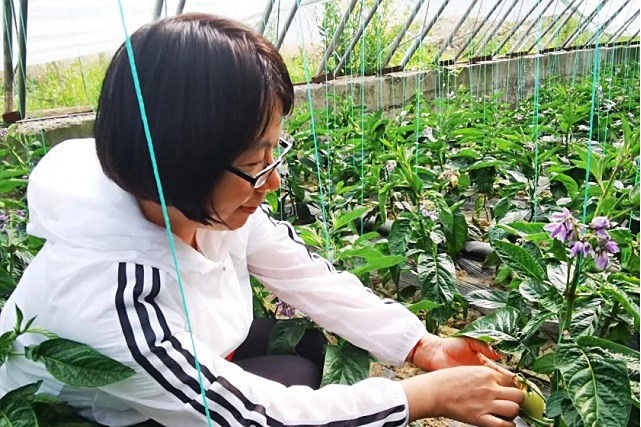 原瑞芬 原瑞芬