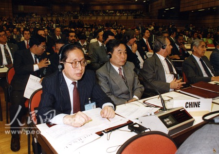 1993年出席維也納世界人權大會