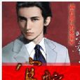 官舵 官舵