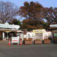 日立市 日立市
