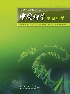 《中國科學  生命科學》封面