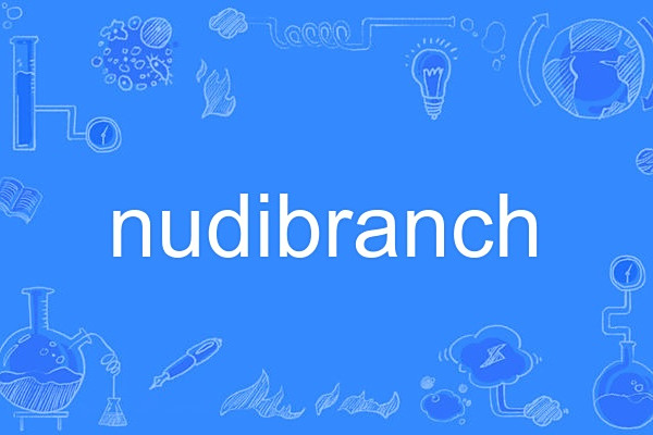 nudibranch nudibranch