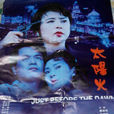 太陽火(1996年張瑜主演電影) 太陽火(1996年張瑜主演電影)