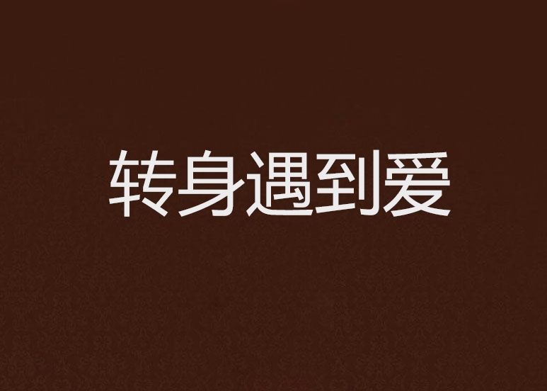 轉身遇到愛 轉身遇到愛