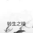 轉生之瞳 轉生之瞳