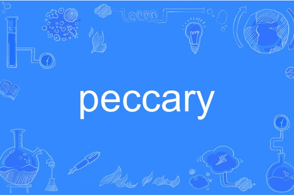 peccary peccary