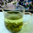 小葉苦丁茶(小苦丁茶) 小葉苦丁茶(小苦丁茶)