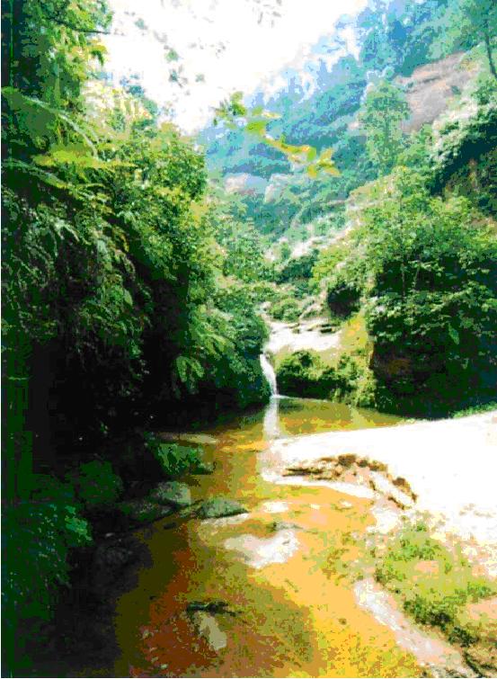 五條溝自然風景生態旅遊區