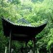 沈敬涵 沈敬涵