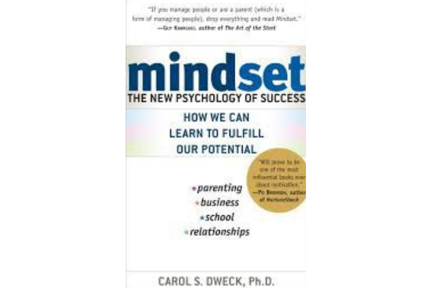 mindset(2006年出版的圖書) mindset(2006年出版的圖書)