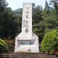 石龍村(湖南省郴州市桂陽縣四里鎮下轄村) 石龍村(湖南省郴州市桂陽縣四里鎮下轄村)