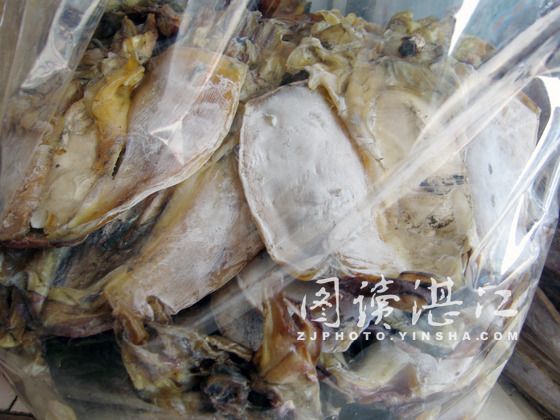 湛江墨魚 湛江墨魚