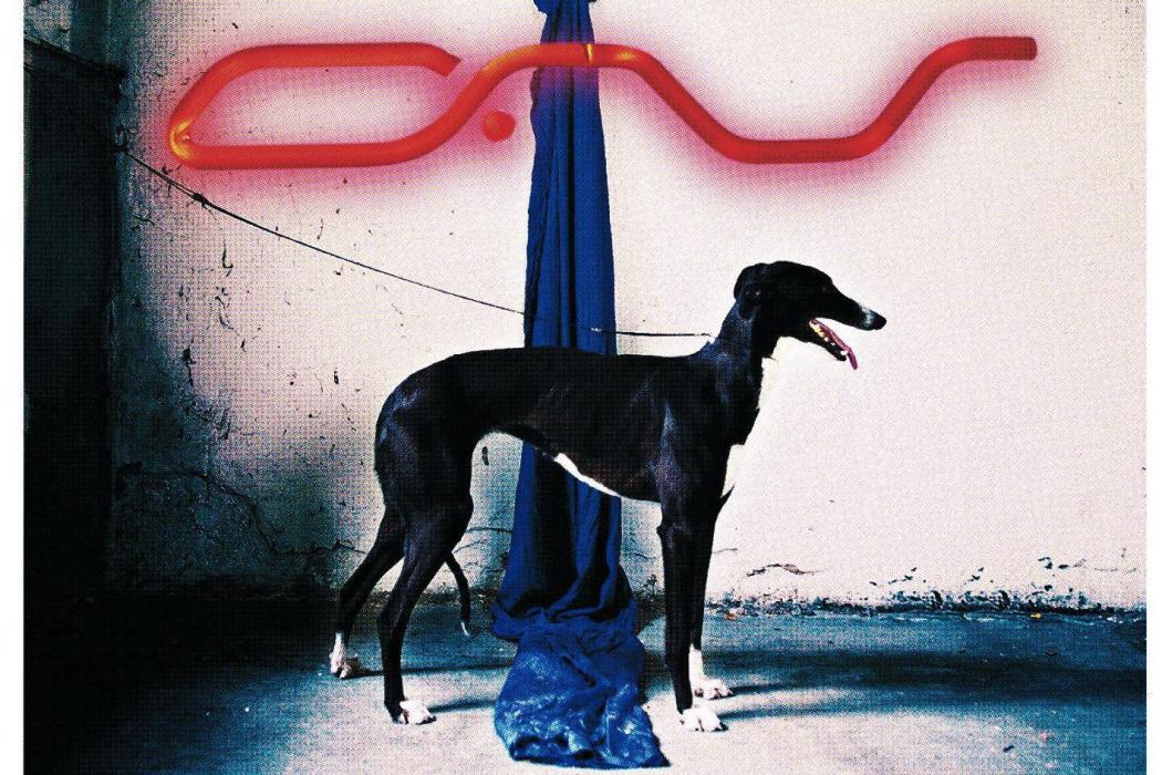 Salvation(1998年阿爾法村樂隊發行專輯) Salvation(1998年阿爾法村樂隊發行專輯)