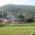 下假巴村 下假巴村