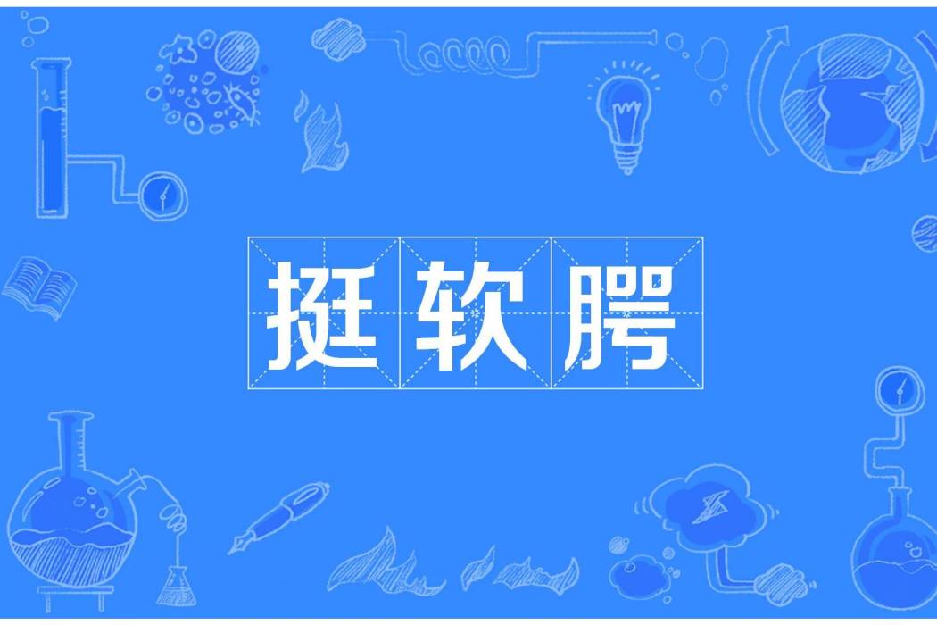 挺軟齶 挺軟齶