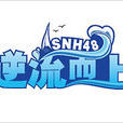 誠實的汗水(SNH48公演歌曲)