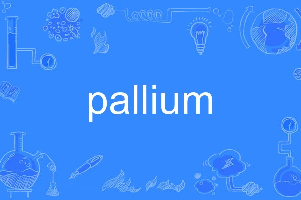 pallium pallium
