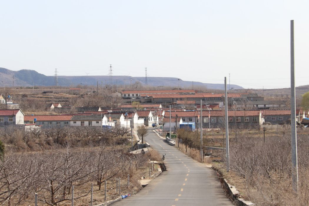 槐樹塔村