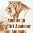 Studies in the Art Anatomy of Animals Studies in the Art Anatomy of Animals