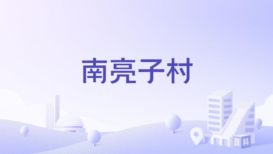 南亮子村 南亮子村