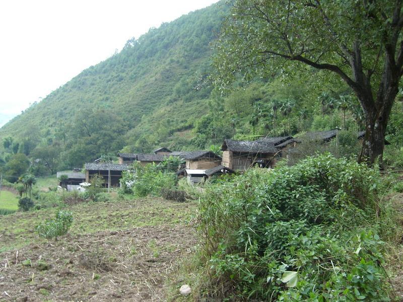 豬食箐村 豬食箐村