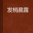 發梢晨露 發梢晨露