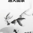 通天圖錄 通天圖錄