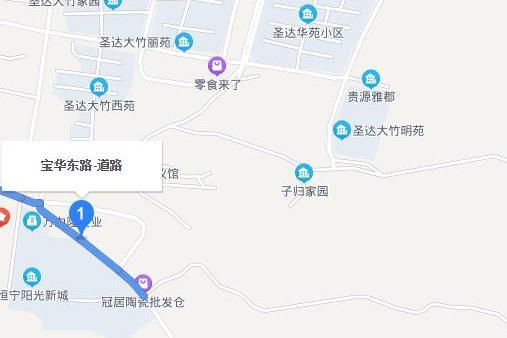 寶華東路