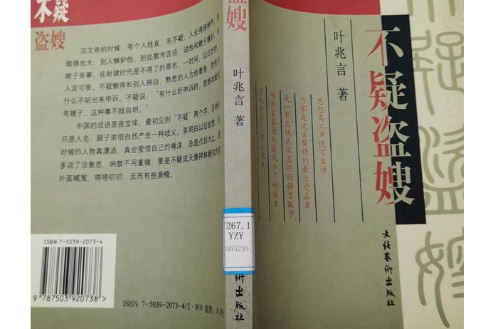不疑盜嫂(葉兆言創作的隨筆作品) 不疑盜嫂(葉兆言創作的隨筆作品)