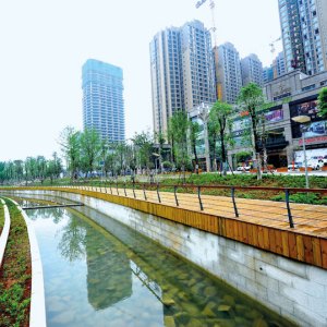 文林鎮(蜂蜜鄉)